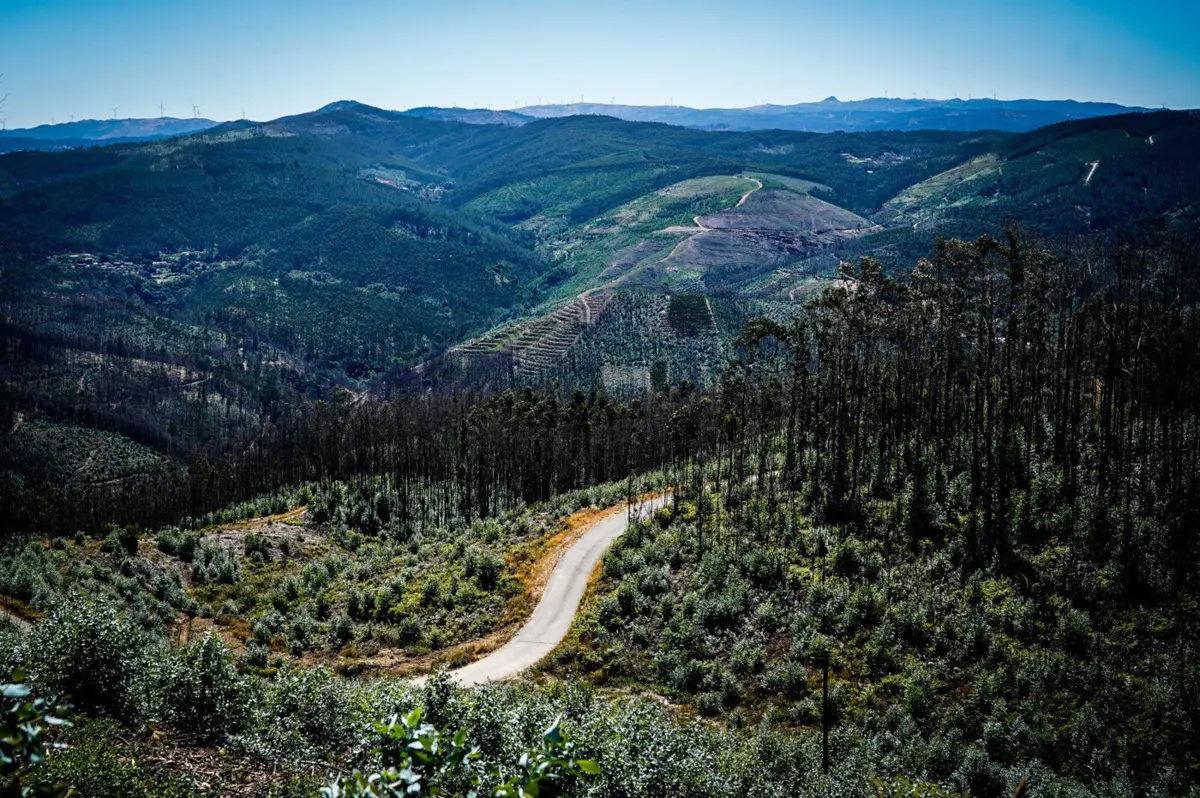 Imagem de contexto do artigo Febre dos ralis volta a passar por Sever do Vouga no Portugal Rally Series