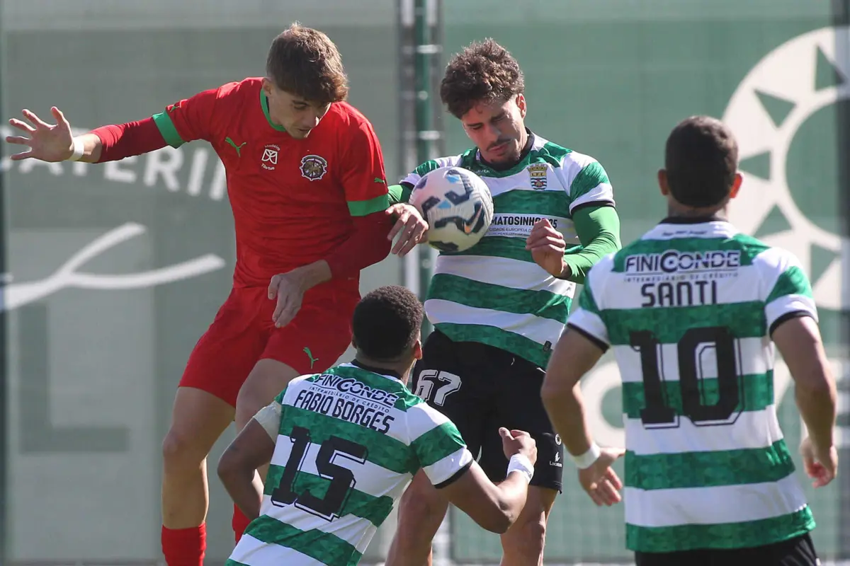 Créditos: Pedro Pereira