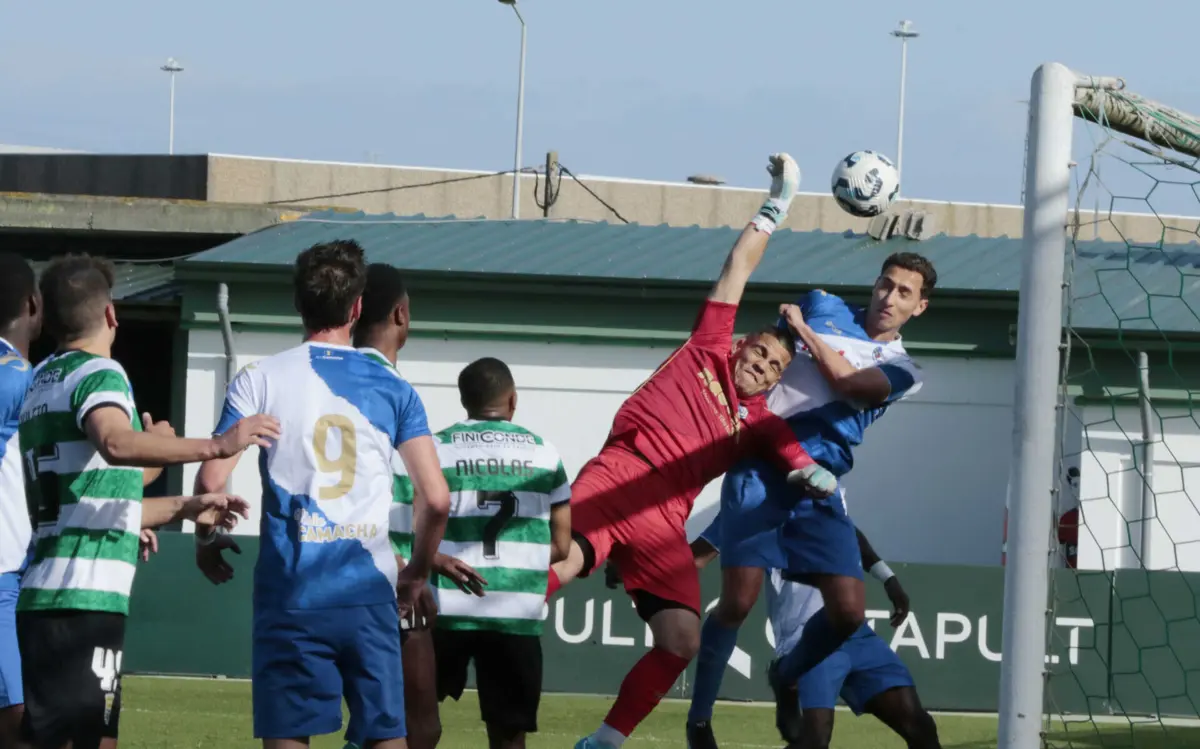 (créditos: Amin Chaar)