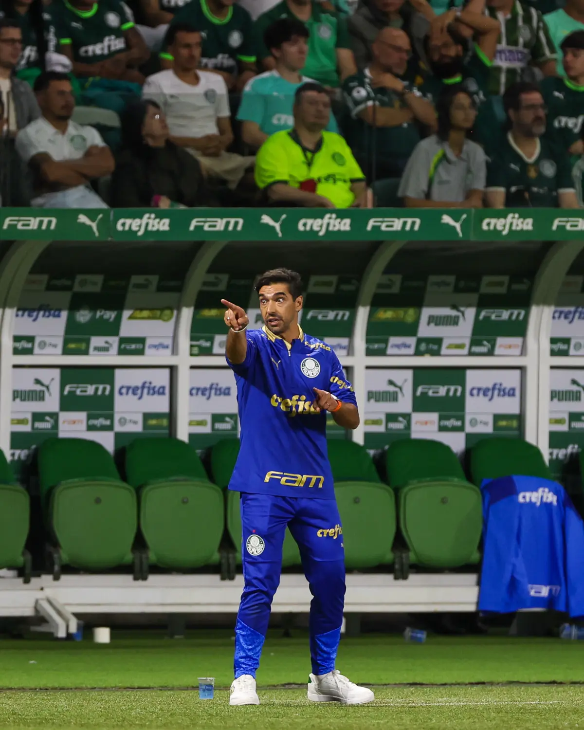 Imagem de contexto do artigo Abel Ferreira revoltado com a arbitragem: "Eu não estudo para isso..."