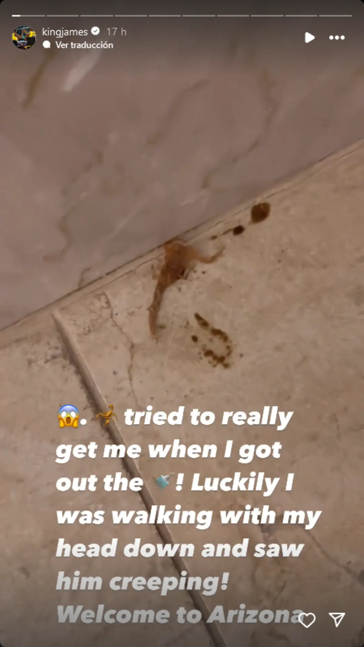 Imagem de contexto do artigo LeBron James escapa a picadura de um escorpião. Ora veja