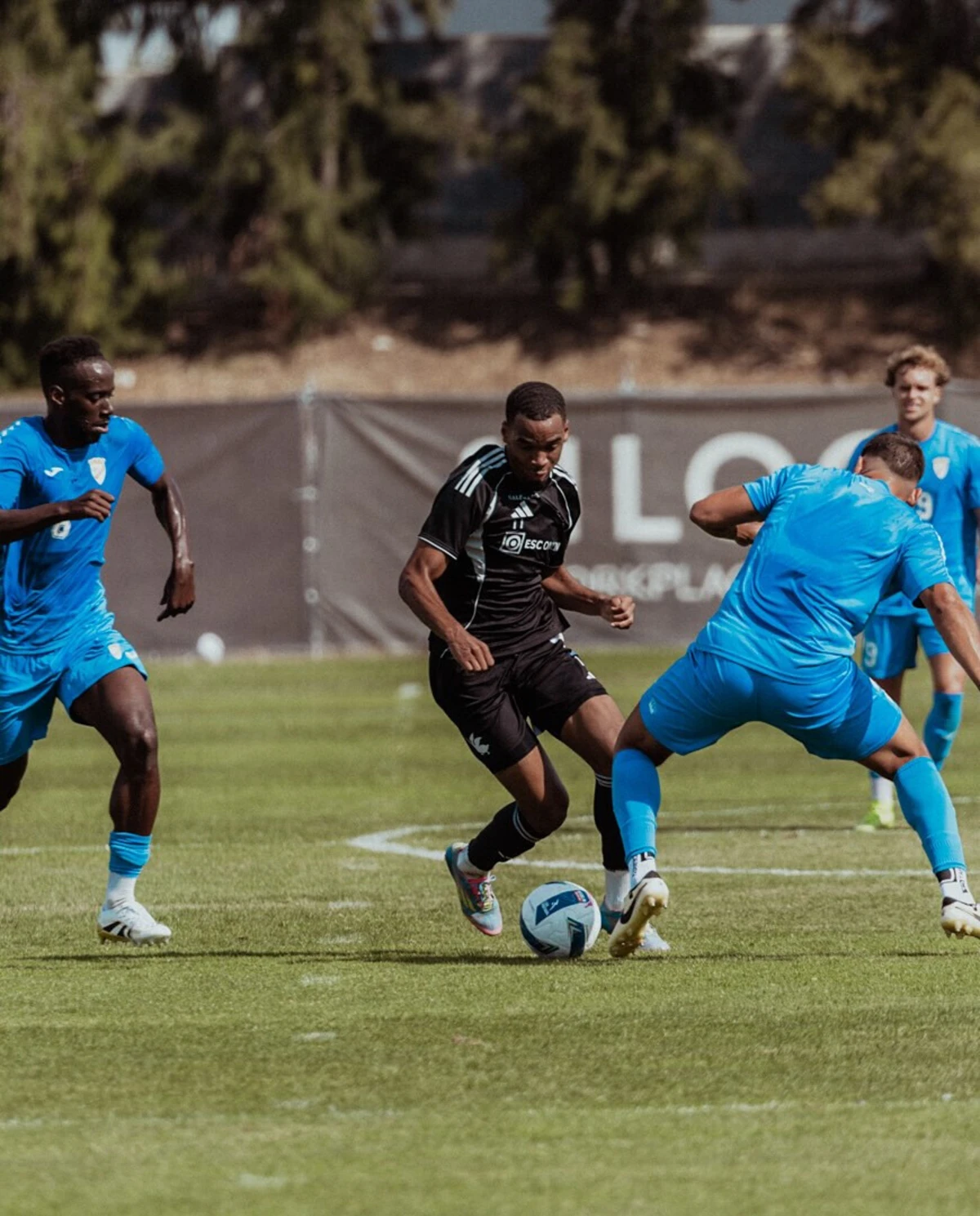 Imagem de contexto do artigo Casa Pia vence 1.º Dezembro em jogo-treino