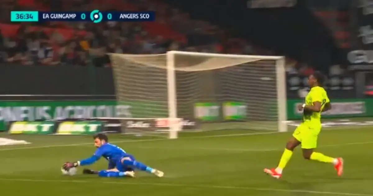 Enzo Basilio (créditos: X/Reprodução)