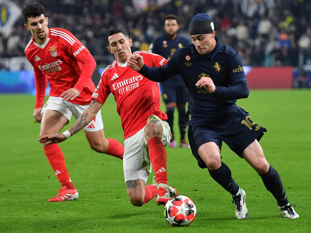 Imagem de contexto do artigo Benfica: Tomás Araújo apto para o Rio Ave, Di María em dúvida