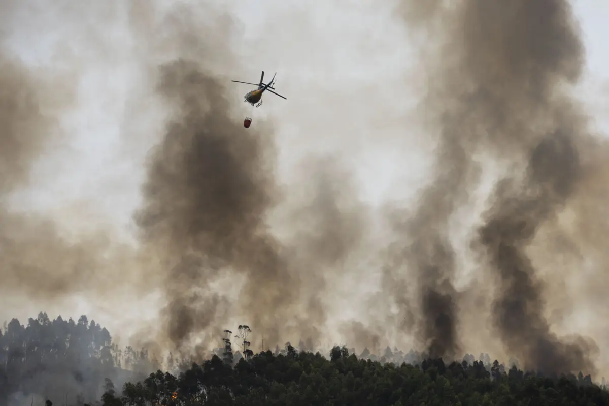 Imagem de contexto do artigo Maioria dos distritos das regiões Norte, Centro e Algarve em risco máximo de incêndio