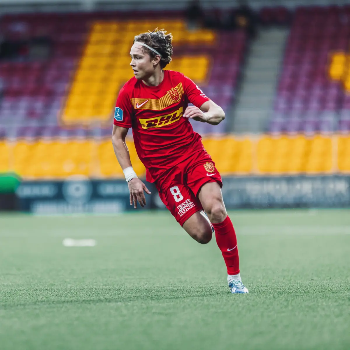 Imagem de contexto do artigo "Estou seguro que Schjelderup vai recuperar. O Benfica ainda pode esperar grandes coisas"