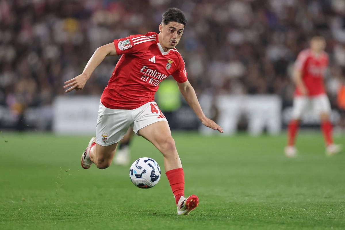 Tiago Gouveia (créditos: Miguel Pereira)