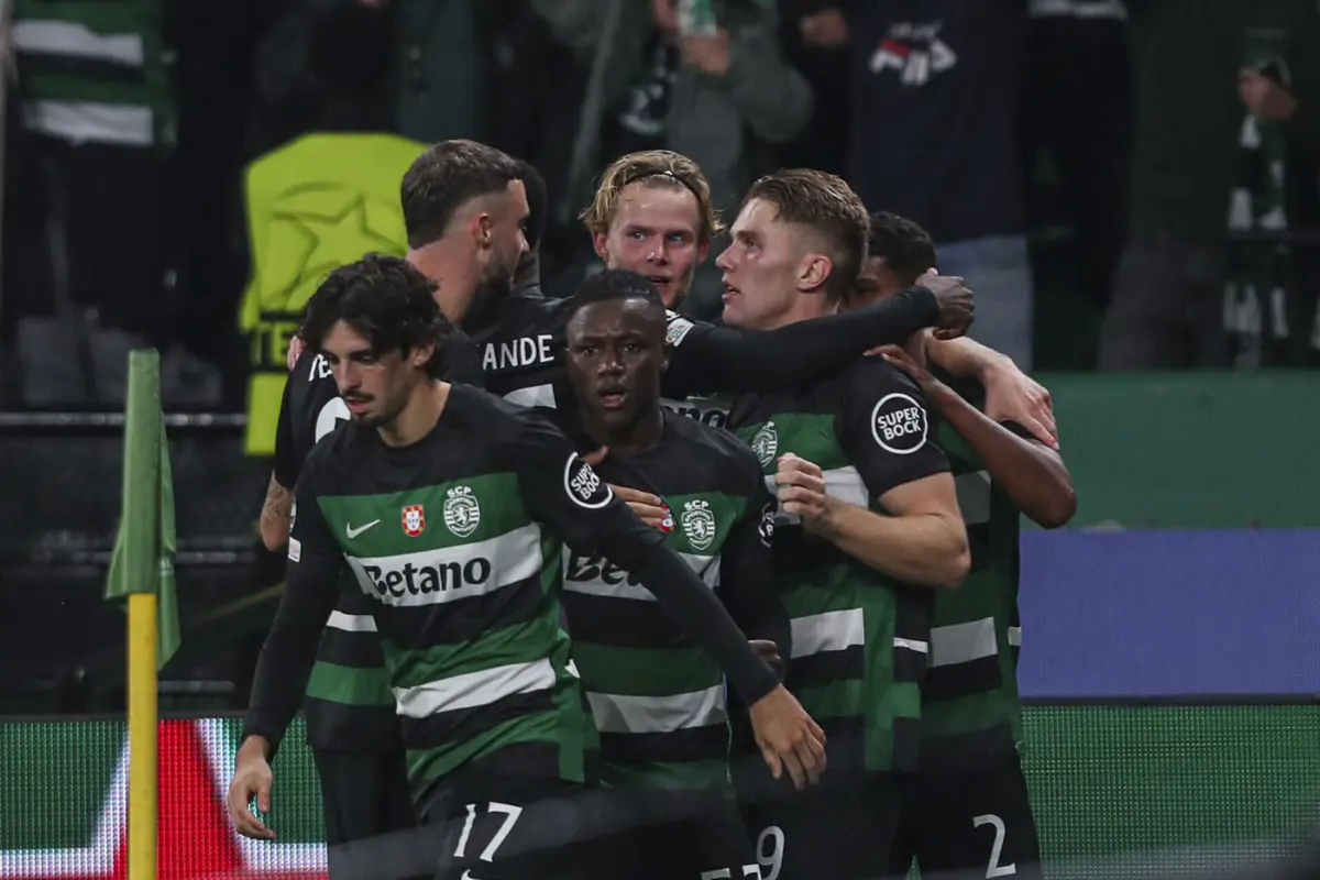 (créditos: Pedro Rocha)