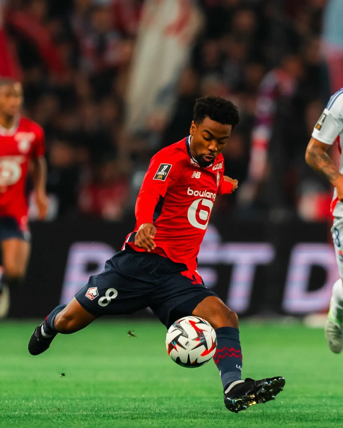 Angel Gomes (Créditos: LOSC Lille)