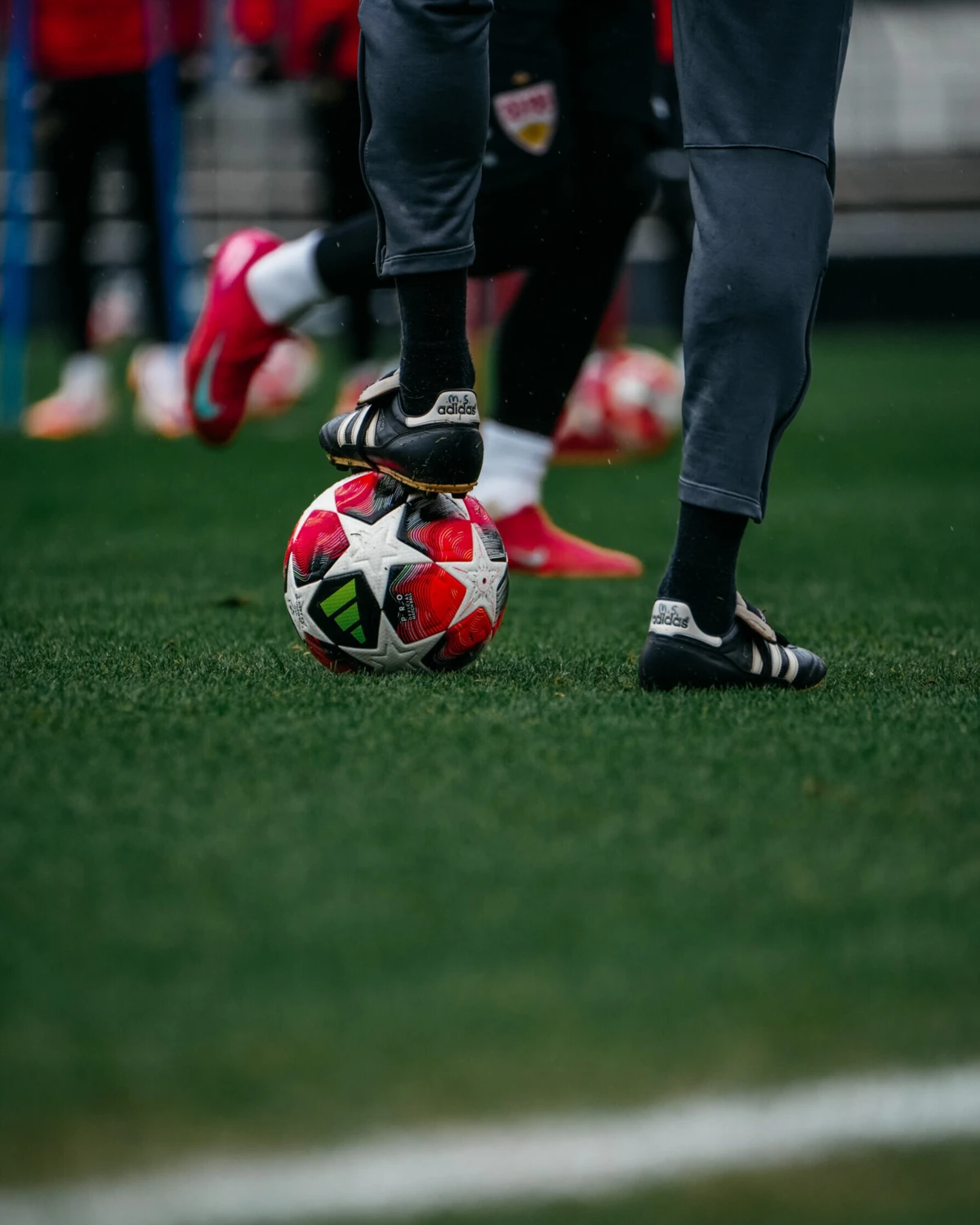 Imagem de contexto do artigo Mais de meia centena de hooligans franceses detidos em Estugarda