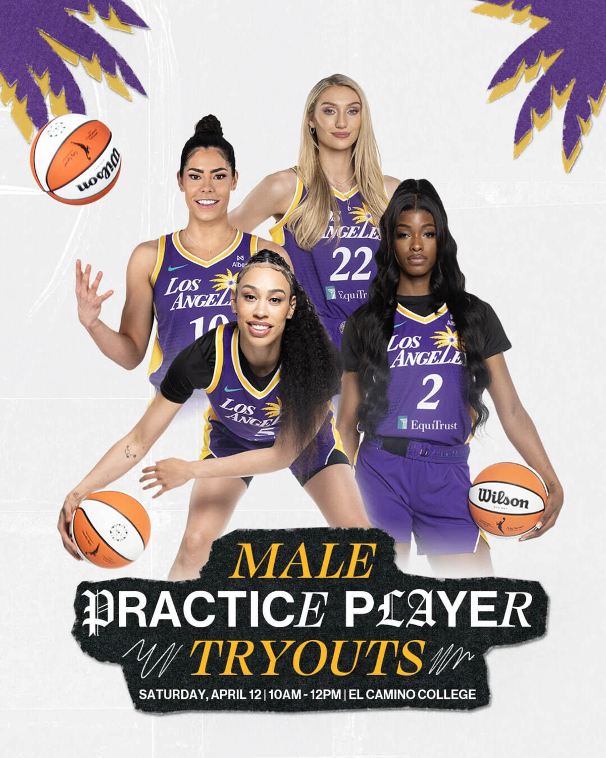 Imagem de contexto do artigo Equipa da WNBA procura homens para os treinos e as jogadoras ficam indignadas