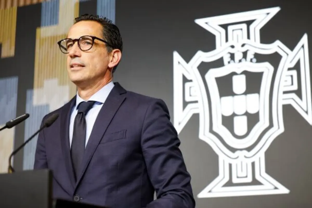 Pedro Proença (créditos: FPF)