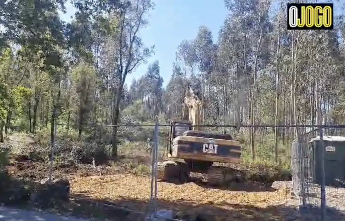 Imagem de contexto do artigo Academia do FC Porto: máquinas já trabalham na Maia. Ora veja