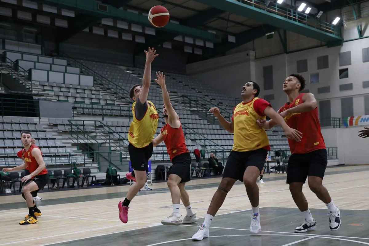 Seleção de basquetebol