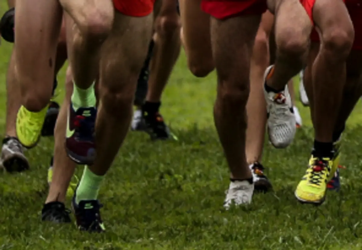 Imagem de contexto do artigo Portugal não marca presença nos Mundiais de corta-mato