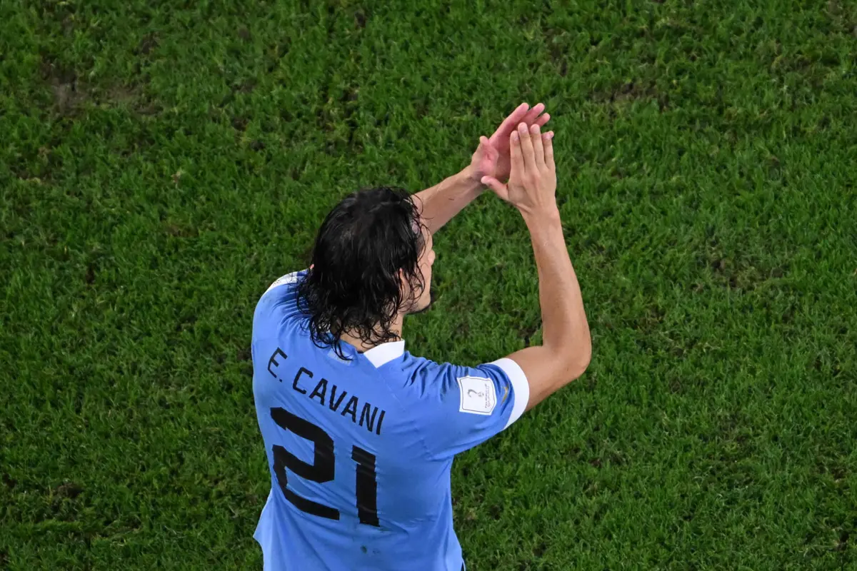 Cavani (François-Xavier MARIT AFP)
