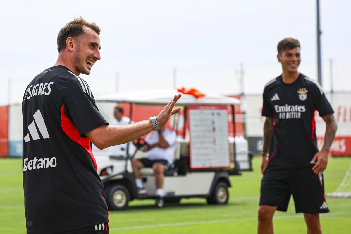Imagem de contexto do artigo Benfica desmente acordo por Akturkoglu: "Tentativa de desestabilização"