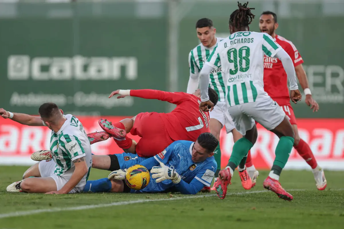 Créditos: Miguel Pereira