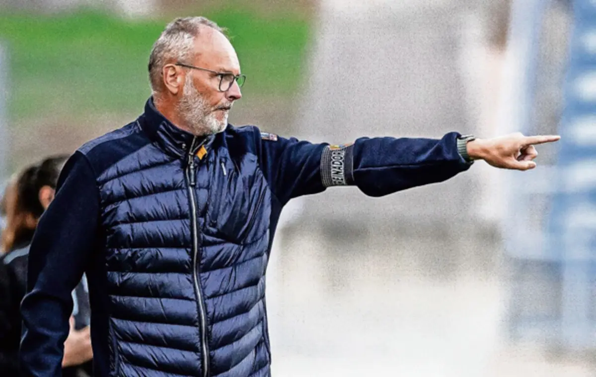 Imagem de contexto do artigo "Quase não acreditávamos no que estava a acontecer"