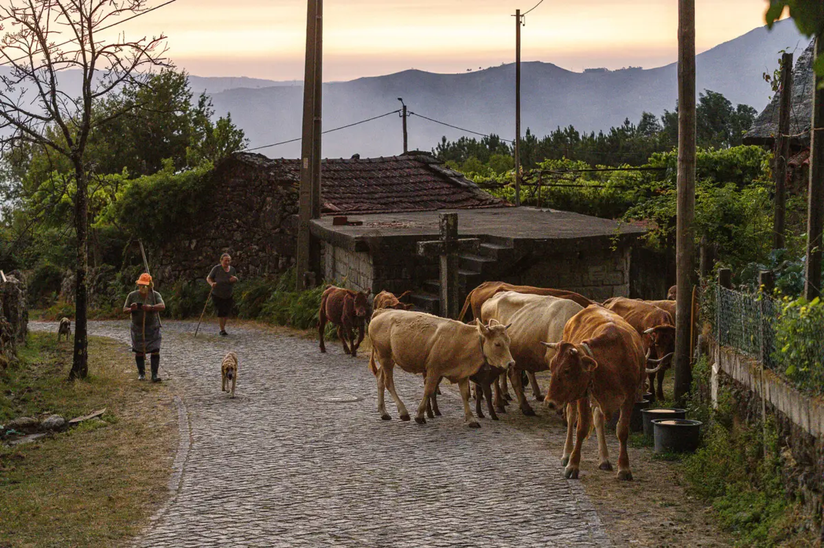 Créditos: Rui Manuel Fonseca