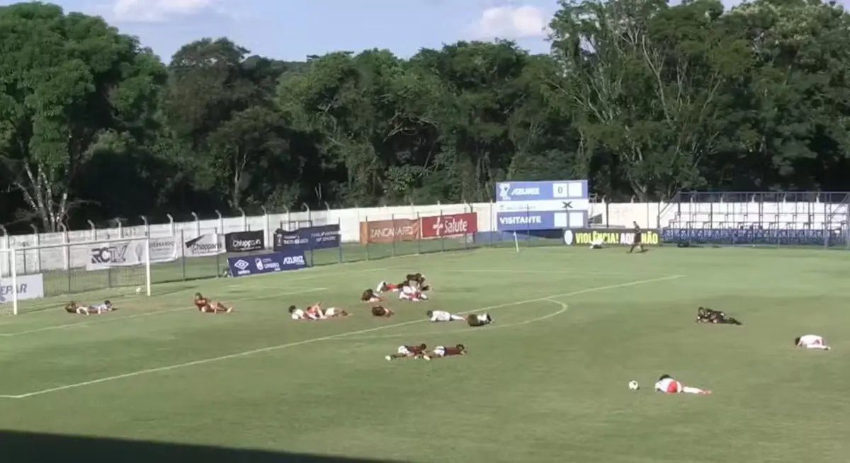 Imagem de contexto do artigo Insólito: ataque de abelhas pára jogo no Brasil. Ora veja