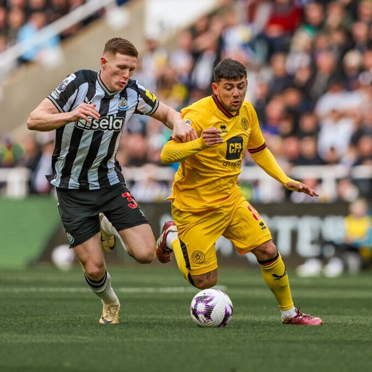 Créditos: Sheffield United