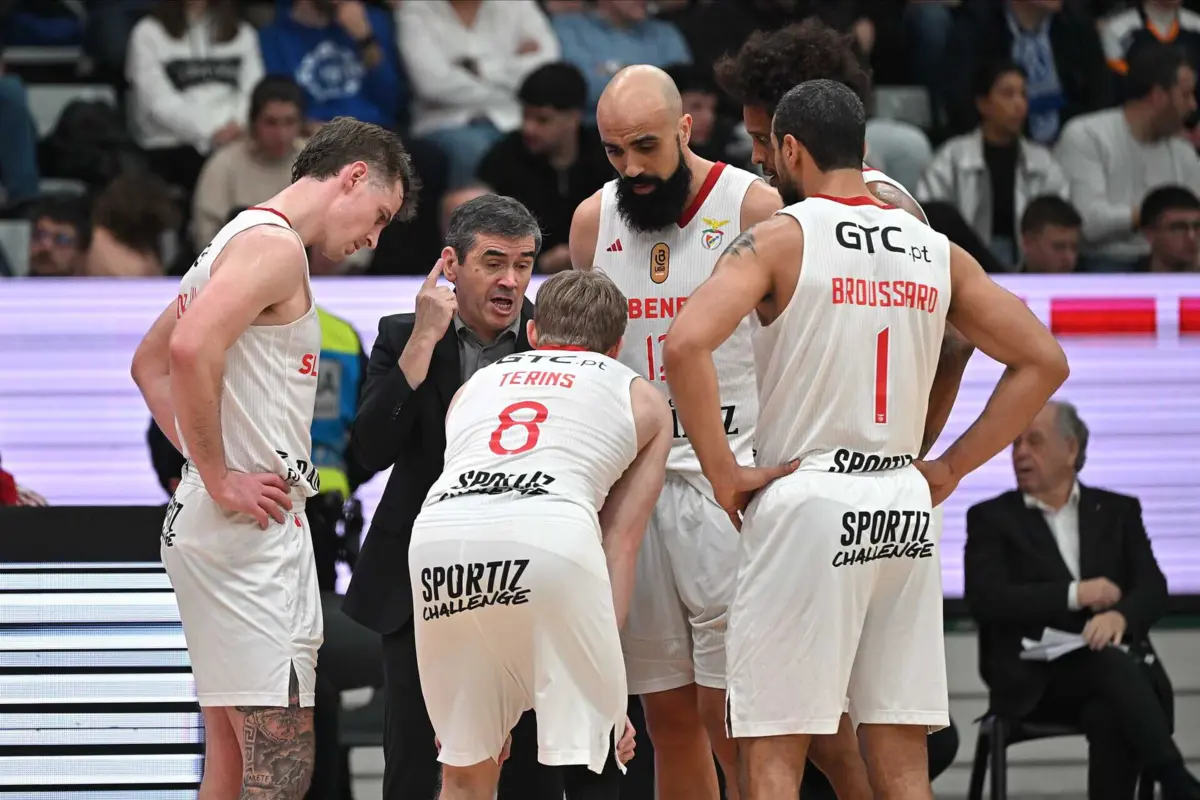 Norberto Alves (Créditos: Pedro Granadeiro)