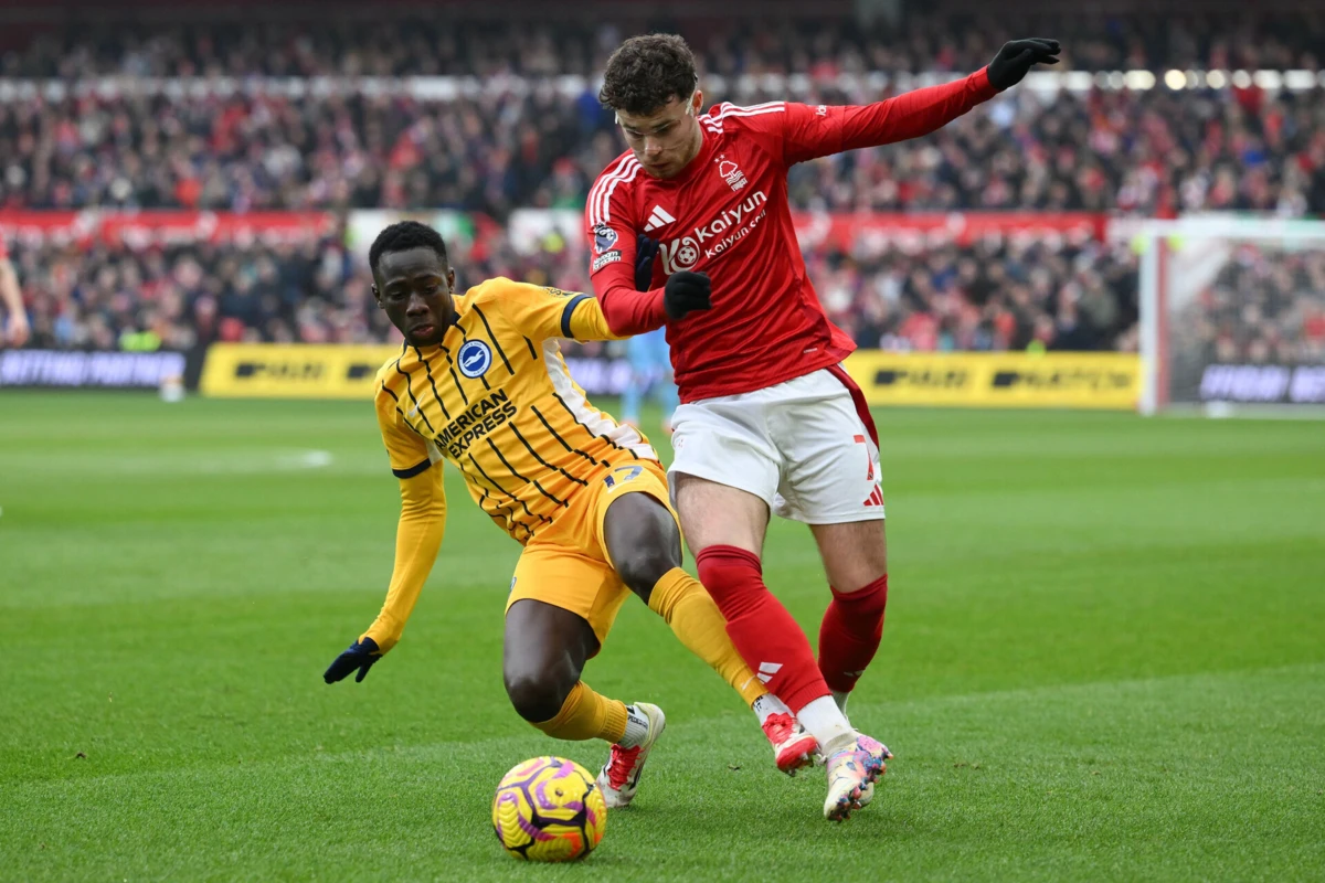 Imagem de contexto do artigo Brighton vs Nottigham: NES à procura da temporada perfeita