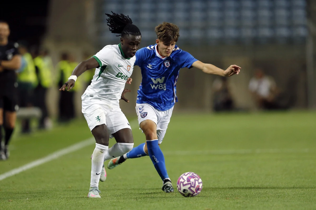 Quenda (Créditos: Lusa)