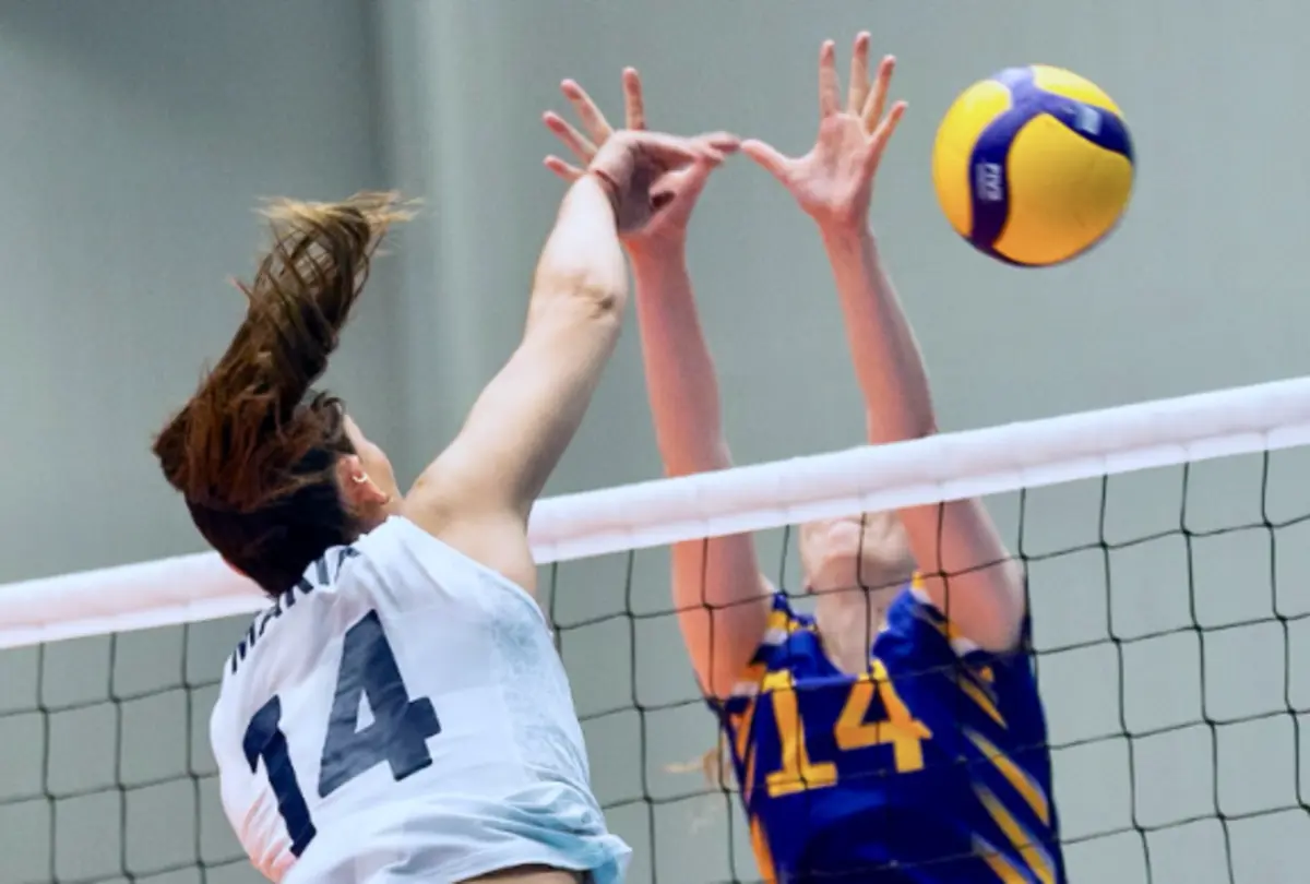 Reprodução: Federação Portuguesa de Voleibol