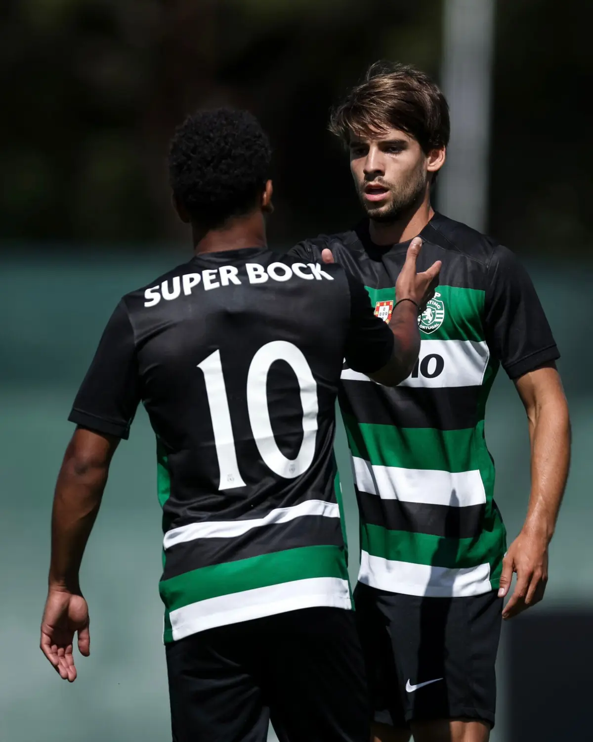 Daniel Bragança (créditos: Sporting CP)
