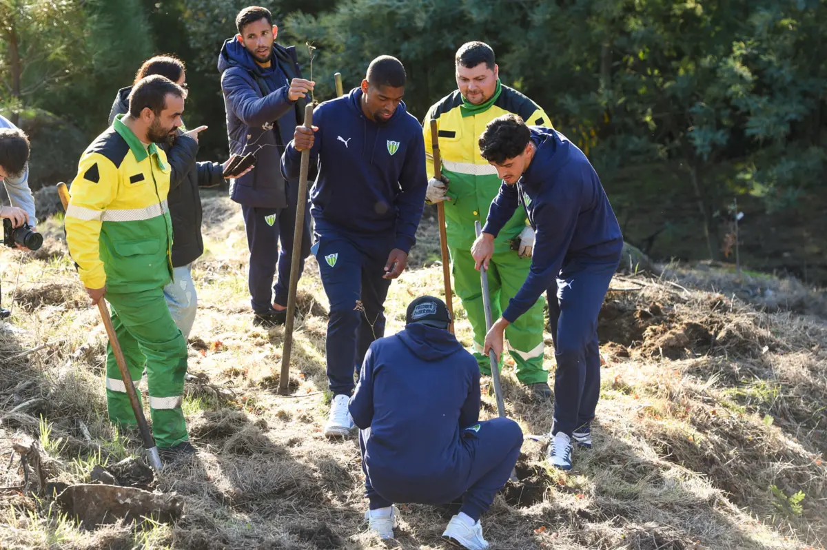 Imagem de contexto do artigo Académico de Viseu e Tondela participam em ação de reflorestação com 500 carvalhos