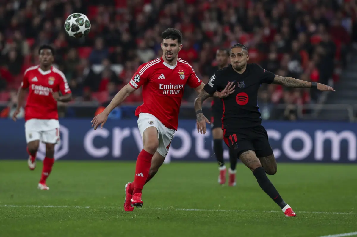 Tomás Araújo (Créditos: Pedro Rocha)