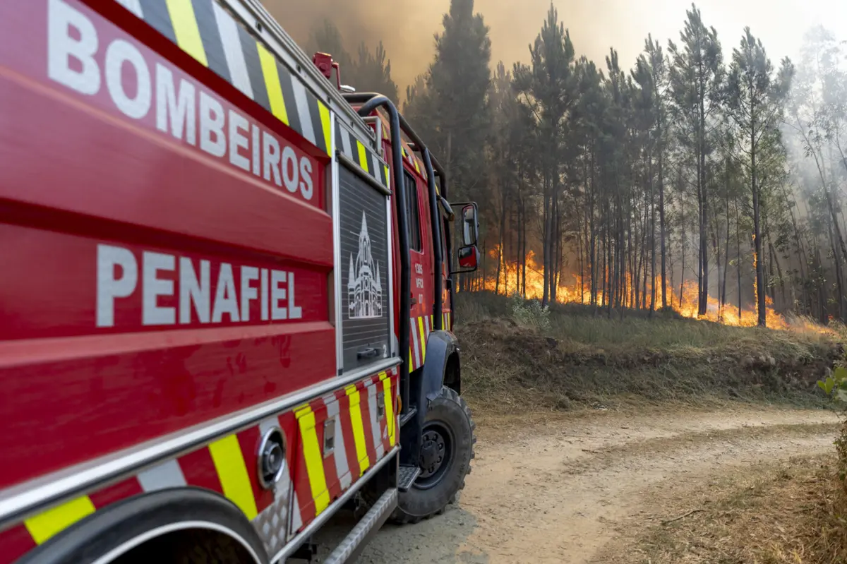Créditos: Carlos Carneiro