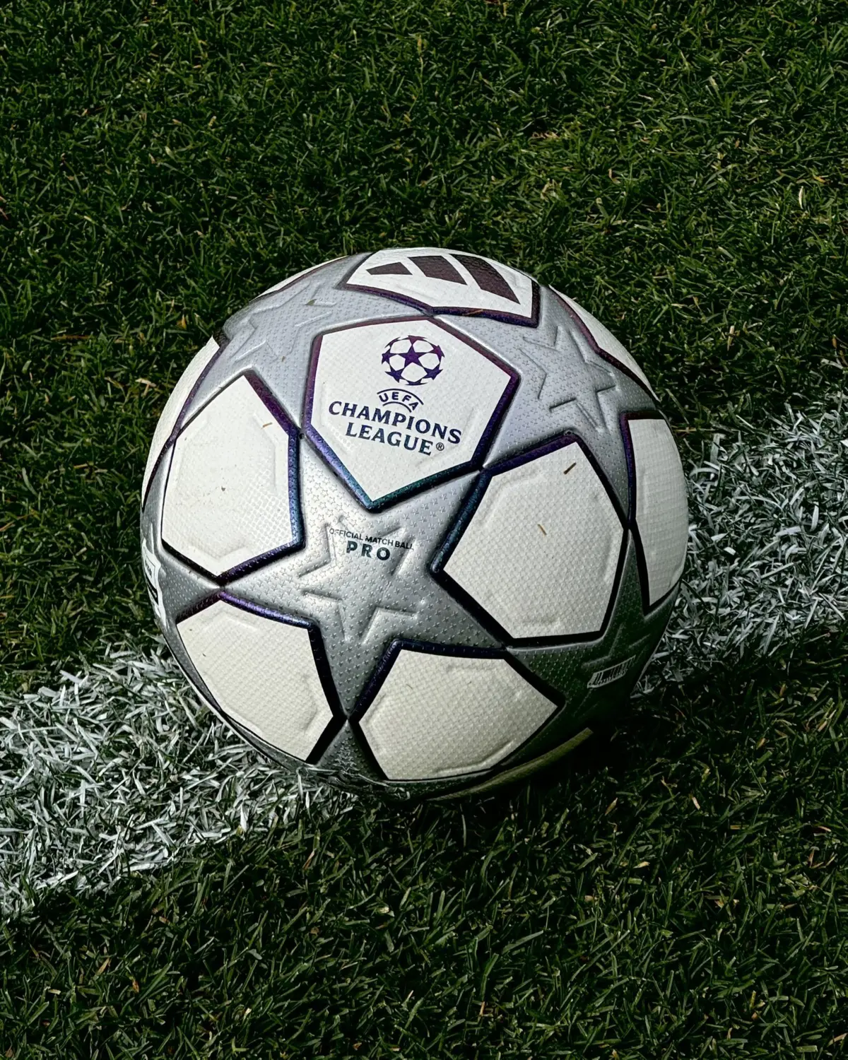 Imagem de contexto do artigo Sporting e Benfica em cena na Liga dos Campeões: eis as contas e todos os cenários