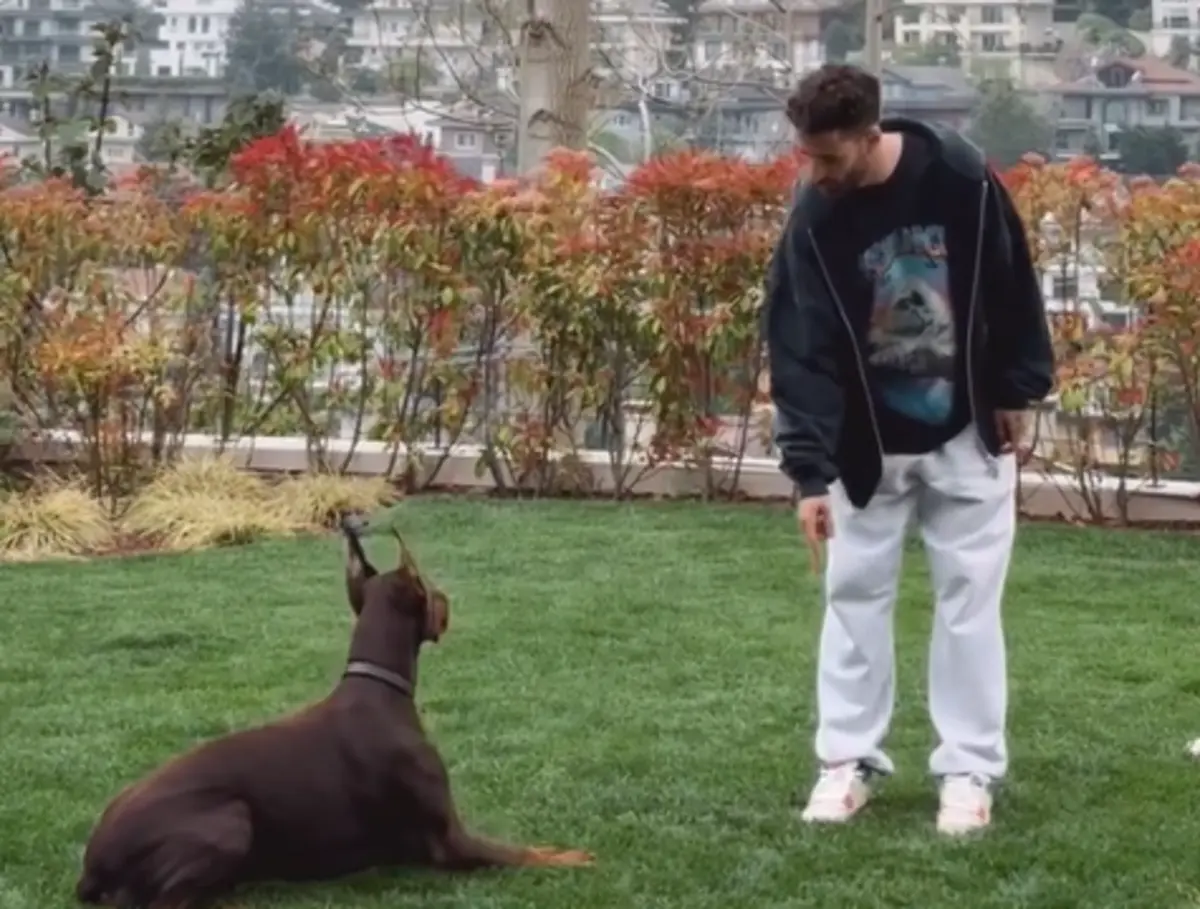 Imagem de contexto do artigo Rafa Silva e um cão muito bem ensinado... veja o vídeo