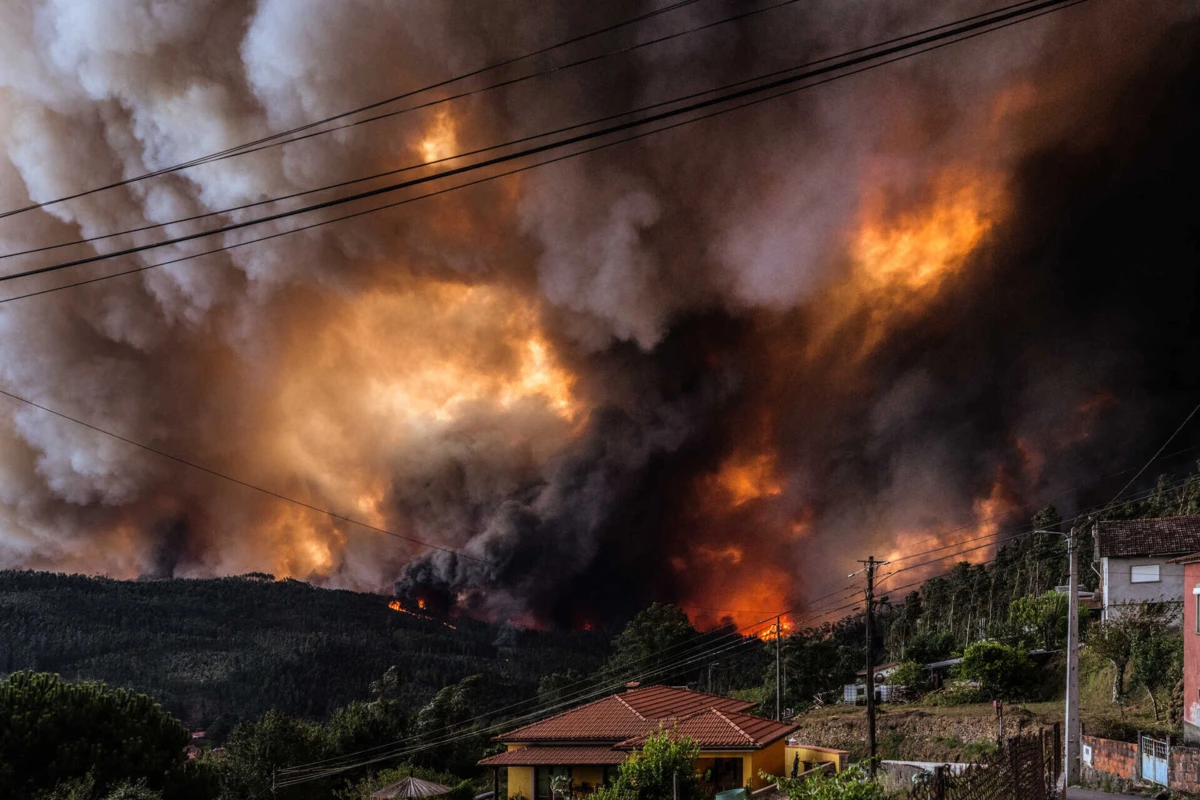 Créditos: Maria João Gala