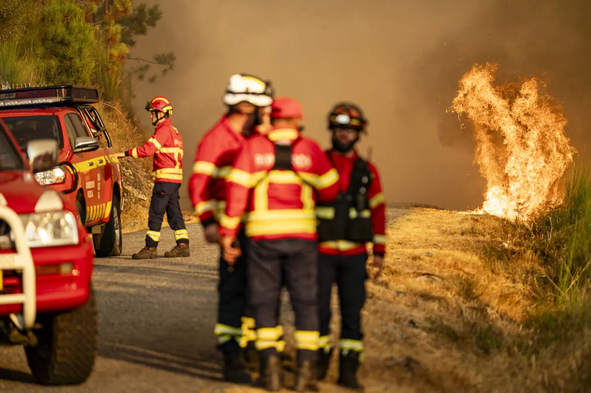 Créditos: Rui Manuel Fonseca
