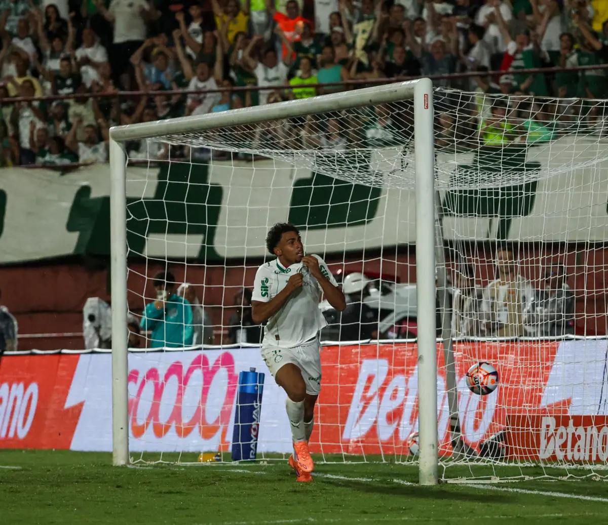 Imagem de contexto do artigo Abel Ferreira e Luís Castro entram a vencer nos campeonatos estaduais
