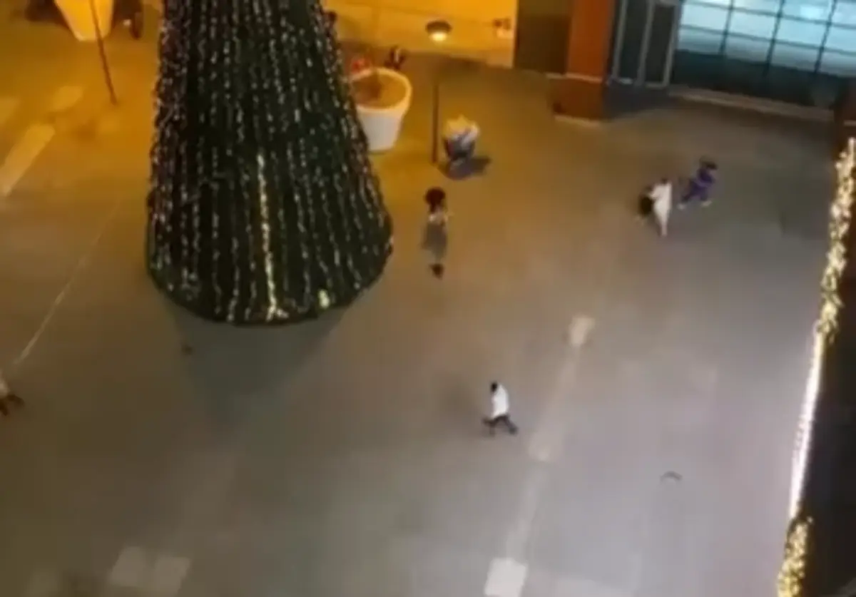 Imagem de contexto do artigo Mulher morreu em tiroteio no Palácio do Gelo em Viseu. Há ainda dois feridos