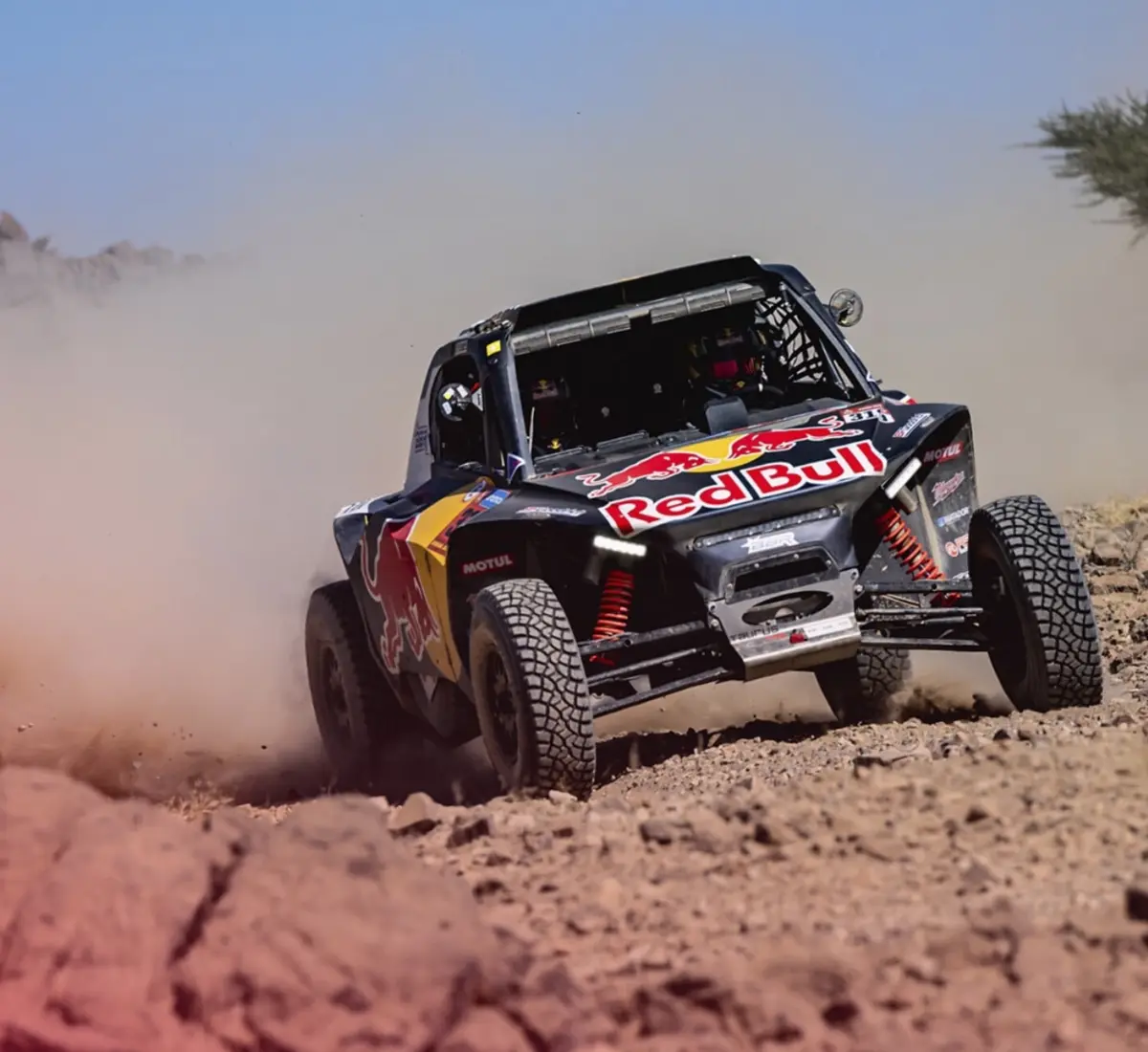 Reprodução/ Instagram Gonçalo Guerreiro