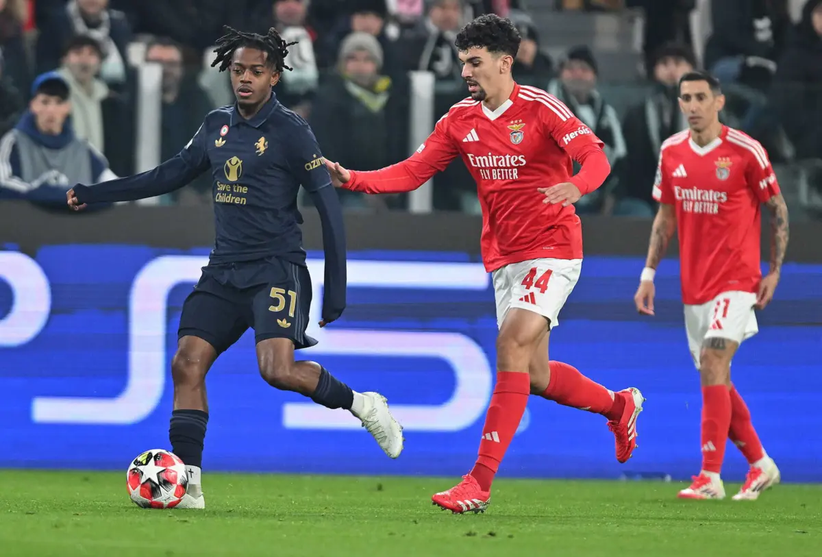 Tomás Araújo (créditos: Benfica)