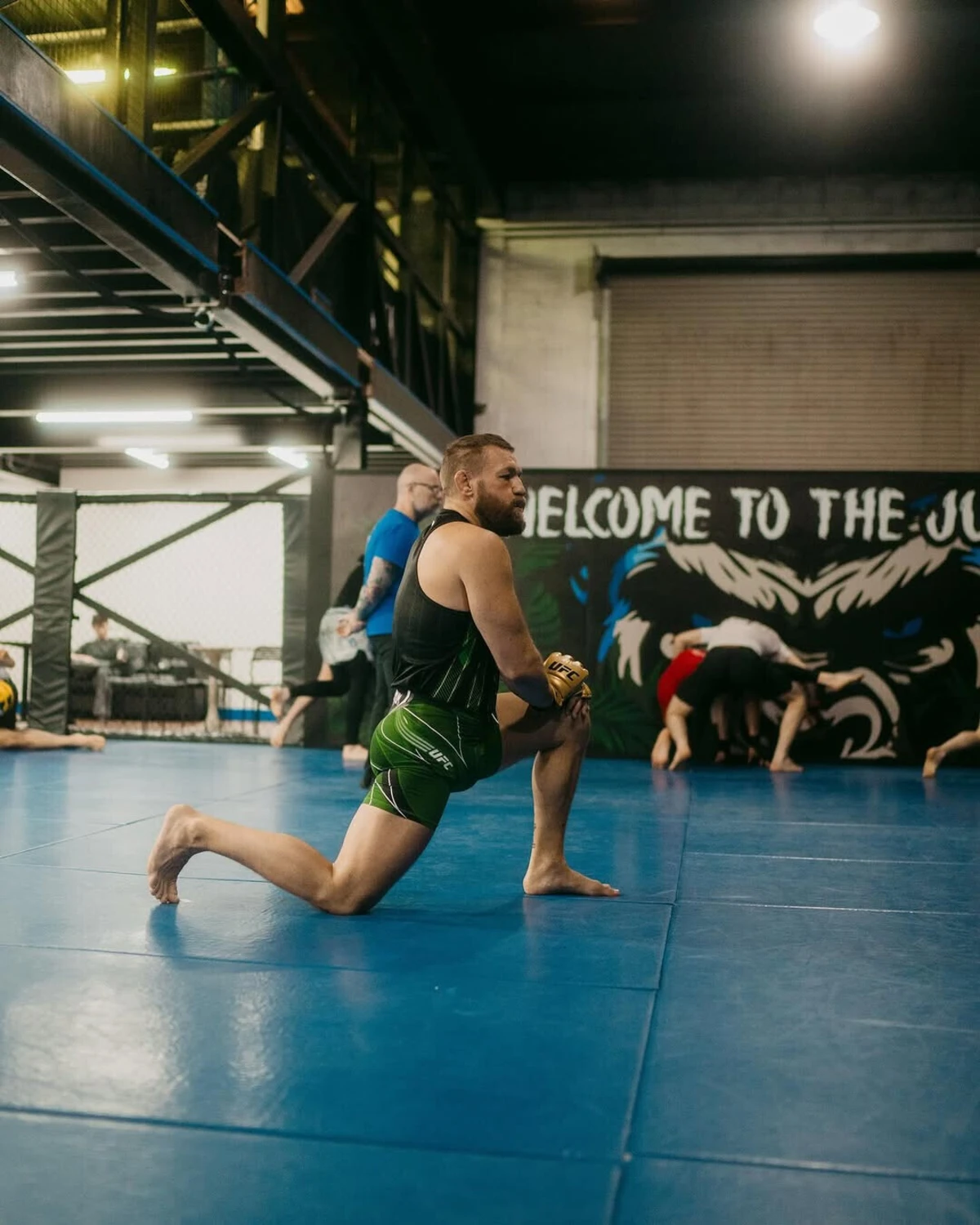 Reprodução/ Instagram Conor McGregor