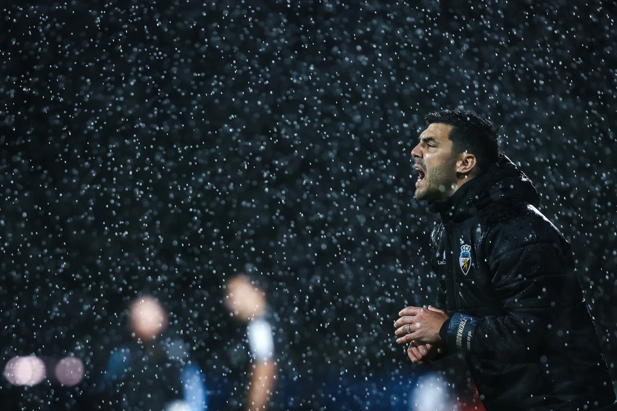 Tozé Marreco (Créditos: Lusa)