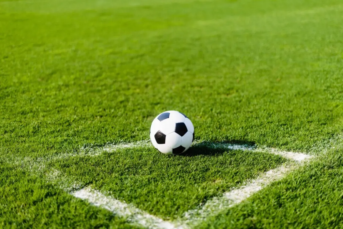 Imagem de contexto do artigo CDP quer mais verbas das apostas para criar Fundo de Desenvolvimento Desportivo