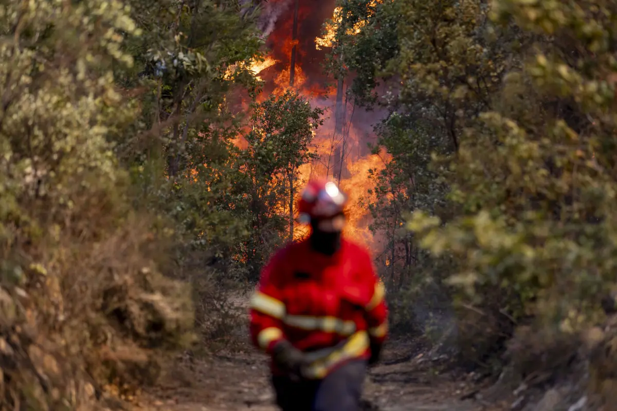 Créditos: Carlos Carneiro