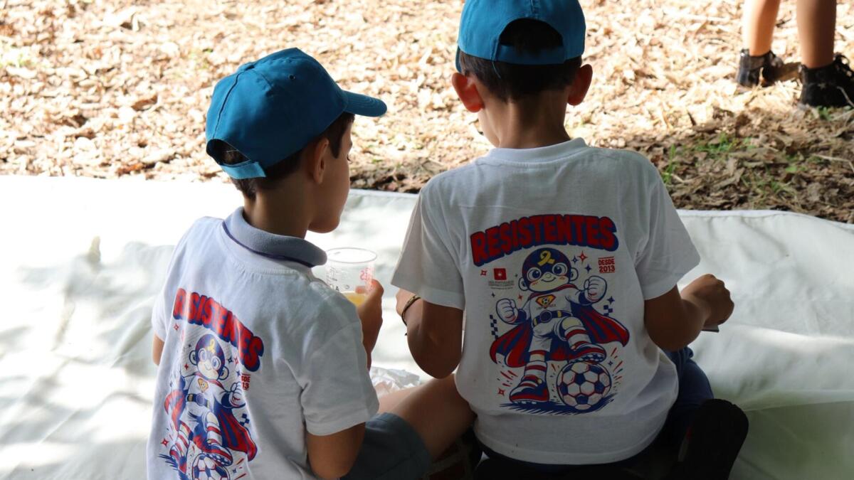 https://staticx.noticiasilimitadas.pt/tsf/c3755e9d-c883-4d51-88f5-303d85a4d494_1200x675.jpg