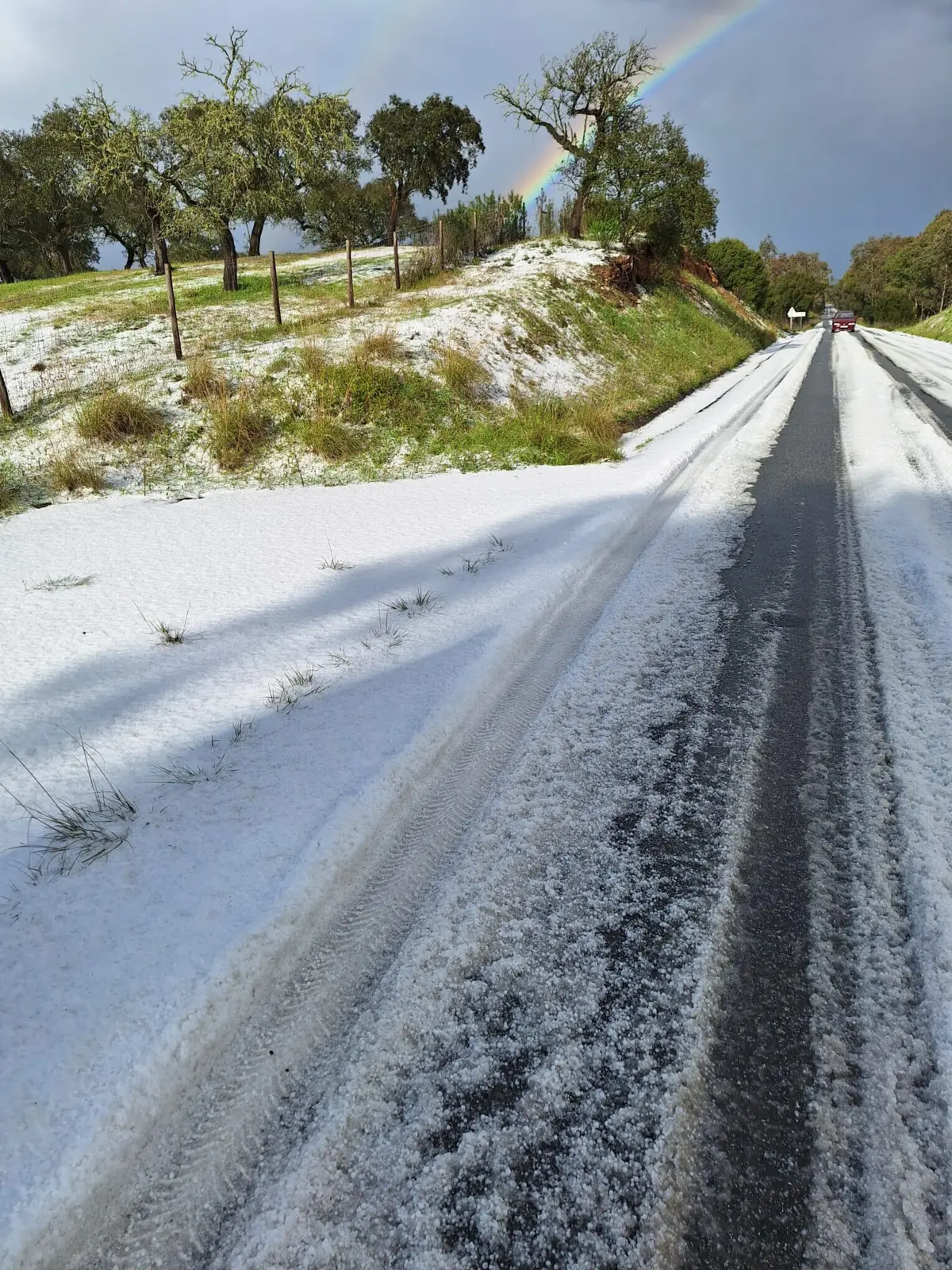 Imagem de contexto do artigo Chuva intensa afeta seis habitações em Ervedal, no concelho de Avis