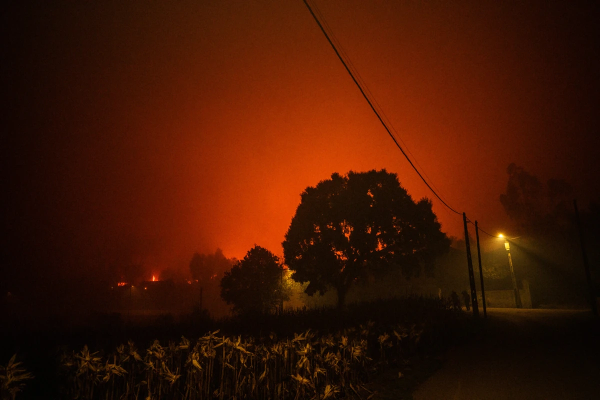 Imagem de contexto do artigo Incêndios: Governo decreta luto nacional para esta sexta-feira