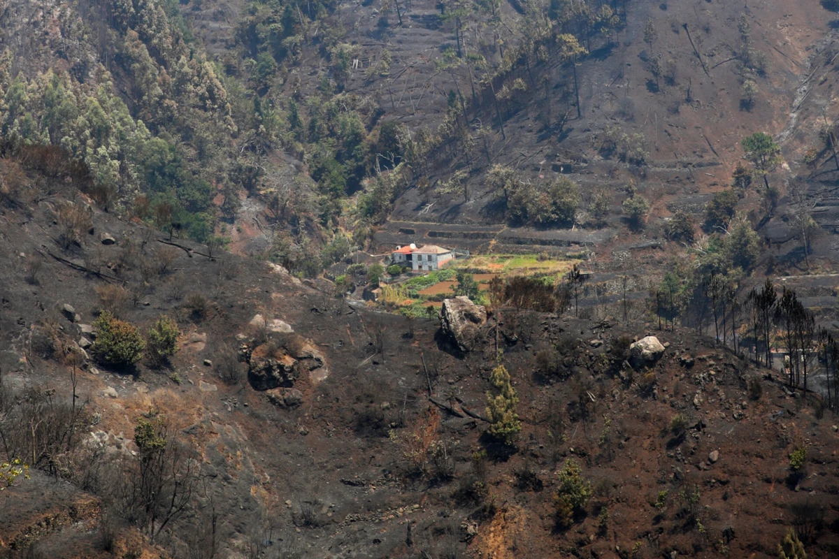 O fogo na Madeira mantém duas frentes ativas